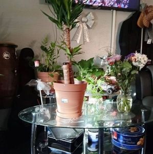 Meet your Posher, Derrick